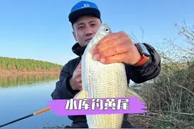 花了60块在襄阳山体水库钓大黄尾、2-5斤大黄尾连杆😂 #2025dou来钓鱼视频封面