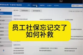 员工社保忘记交了，如何补救？#会计实操 #会计 #报税实操