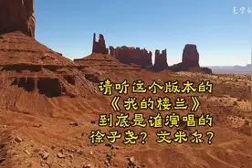 这个版本的《我的楼兰》到底是谁演唱的？徐子尧？艾米尔？出处？视频封面