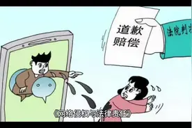 《网络侵权与法律责任》#网络侵权 #网络侵权与法律责任视频封面