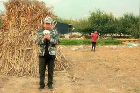 “爱意随风起，风止意难平，遗憾终究是遗憾，从此山水不相逢视频封面