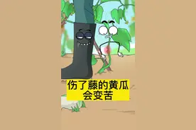 伤了藤的黄瓜会变苦#植物科普 #三农 #新农人计划2023 #乡村守护人 #轻漫计划 #充能计划 #涨知识了 #脑洞大开 #每天跟我涨知识视频封面