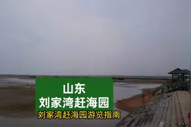 刘家湾赶海园 #刘家湾赶海园 #过年去哪玩视频封面