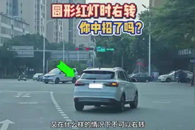 圆形红灯右转却被扣6分？很多司机不懂中招，开车这些细节要明白视频封面