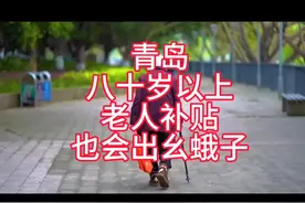 青岛市八十岁以上老人补贴出幺蛾子！视频封面