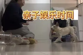 我问小狗遇到烦心事怎么办？小狗说忘忘忘