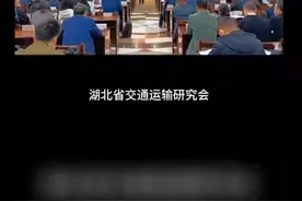 举水通航，麻城崛起#铁水联运 #鄂东北枢纽视频封面