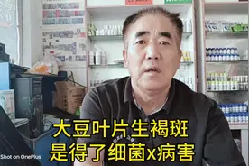 介绍大豆褐斑病的诊断与防治方法。@抖音@今日头条@视频封面