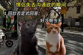 情侣失去沟通欲的瞬间 #情侣日常 #情侣 #恋爱日常 #猫咪表情包
