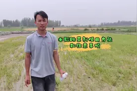 水稻除草剂使用方法和注意事项！#新农人计划2023 #抖音助农视频封面