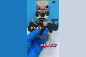 嘎嘣脆鸡肉味！你喜欢吃吗？ #微观世界 #显微镜 #科普 #蚕蛹 @DOU+小助手视频封面