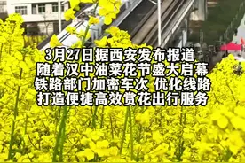 开往春天花海的列车 西安⇆汉中 公交化高铁 早6时到晚10时8分钟一趟 周末一起去赏花吧视频封面