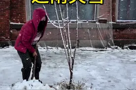 #黑龙江或出现特大暴雪 #哈尔滨下雪了 这里是全国最冷的地区黑龙江省，今天下雪了，东北农村猫冬日常视频封面