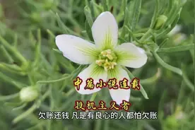 欠账还钱，凡是有良心的人都怕欠账，欠了帐心里会像一块石头压着视频封面