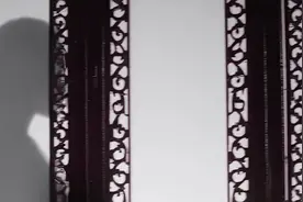 宋美龄一句梧桐美，蒋介石便种满整个南京城#宋美龄 #蒋介石