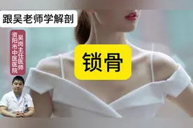 跟吴老师学解剖：锁骨。#医学科普 #人体解剖学