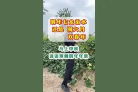 明年七龙治水润六月双春年谚语预测年景#分享农业知识帮农民增产增收 #小麦种植 #民间谚语节气视频封面