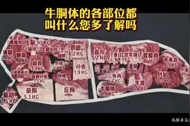 #上热门 全网最完整的牛部位分解名称视频来了，点赞加收藏。视频封面