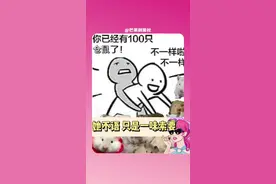 这是什么互联网萌贴啊！爱看爱看！#仓鼠 #娃 #可爱 #荷兰猪视频封面