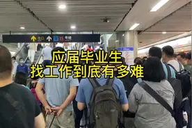 2024届本科应届毕业生找工作到底有多难？我弟弟都离校了视频封面