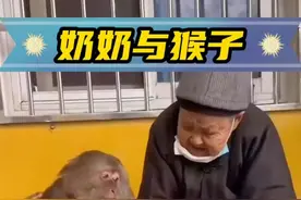 奶奶收养一只断臂的猴子，在这十五年的时间里，建立了深厚的友谊 #广东dou是好风光 #自然奇境科普季 #神奇动物在抖音 #萌宠出道计划 #万物皆有灵性视频封面