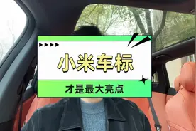 我们都被雷军给骗了，小米汽车logo寓意尽然是…#新能源汽车