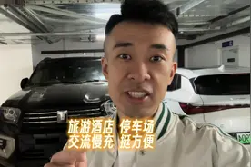 酒店、写字楼地下的交流慢充桩，你们经常用吗？#魏牌蓝山视频封面