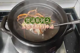 今天和大家分享一道健脾养气又祛湿的五指毛桃四神汤#美食教程视频封面