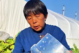没地方种韭菜的朋友们看过来啦#韭菜种植 #种韭菜 #韭菜种植方法 #三农 #蔬菜杨大姐 @DOU+小助手 @DOU+上热门 @抖音创作小助手视频封面
