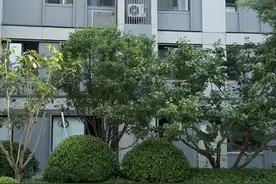 开空调就会全屋没电，怀疑进线电缆线？#真实案例 #经验分享 #电路维修视频封面