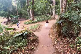 呼吸着热带雨林的空气，沐浴着社会主义的阳光视频封面