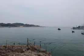 小麦岛公园怎么就成了网红打卡地了？#青岛旅游攻略视频封面