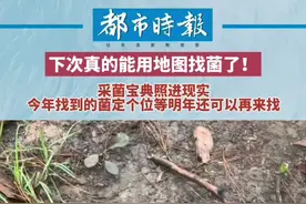 #采菌宝典照进现实 今年找到的菌定个位等明年还可以再来找！#真正的高手都会给菌窝定位