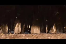 “我中国人民解放军，有足够的力量，扫除一切障碍″一一周恩来视频封面