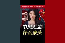 国家队下场护盘，汇金公司到底是什么来头？ #财经 #商业 #金融视频封面