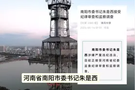 “死磕襄阳”的南阳市委书记，突然落马！视频封面