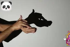 手把手教你做手影动物游戏，小兔子，小狗，小猫，小鸟等视频封面