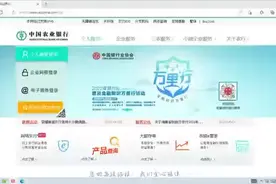 浏览器版本不兼容微软 Edge 浏览器无法打开农行企业网银怎么办？视频封面