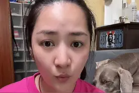 你知道狗狗睡哪些地方好吗#新手养狗 #养狗经验分享 #科学养宠攻略 #养狗人