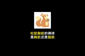 袋鼠胸前的两个球是胸肌吗？#知识科普 #涨知识 #吐槽营销号视频封面
