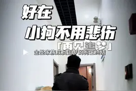 养狗强迫我们学会去接受拼尽全力却也无法被反转的人生， 好在，小狗们不用悲伤。#宠物 #狗狗 #狗狗与主人告别 #爱狗人士 #养狗人的精神状态视频封面