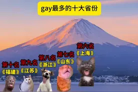 gay最多的十大省份排名 #猫meme #男女 #猫meme小剧场