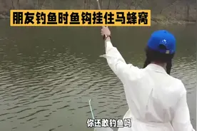 钓鱼经历：被马蜂蛰到，误将蜻蜓当马蜂#被野蜂蛰了怎么办视频封面