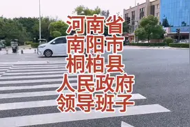 河南省南阳市桐柏县人民政府领导班子 #河南#南阳 #河南南阳视频封面