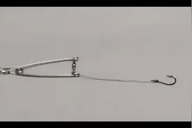 自动鱼钩你值得拥有#抖音钓鱼人 #好工具一起分享 #真正的技术