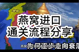 燕窝进口通关流程分享#燕窝进口#一般贸易进口#全球进口物流视频封面