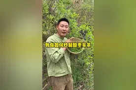 教大家如何炒制酸枣芽茶，酸枣芽只有春天才有，学会的不妨试试看，错过了需要在等一年#酸枣芽 #酸枣芽茶 #手工茶视频封面