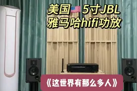 小空间福音《这世界那么多人》美国5寸JBL书架箱+雅马哈功放！视频封面