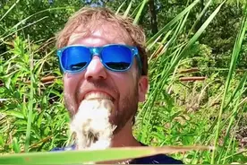 香蒲棒，不仅好玩，作用也很多 #蒲棒 #有趣#有趣的知识又增长了