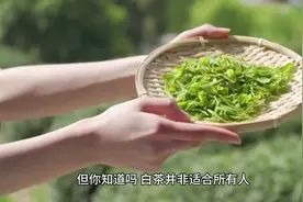 白茶适合哪些人群饮用呢？#茶知识 #爱喝茶的关注我视频封面
